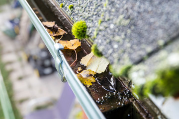 Rainwater gutter cleaning concept. Clogged rainwater drainage system on private domestic home house...