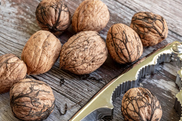 Close-up, shallow focus image of freshly cracked Walnuts seen with a metal Nutcracker. Fragments of the shells are seen on the wooden table.