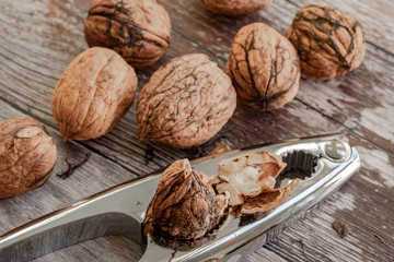 Close-up, shallow focus image of freshly cracked Walnuts seen with a metal Nutcracker. Fragments of the shells are seen on the wooden table.