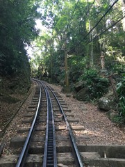 Fototapeta premium Forêt Corcovado