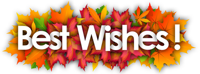 best wishes word and autumn leaves background