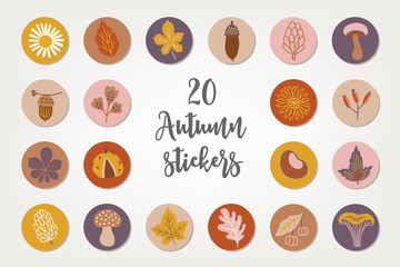 Autumn stickers with acorn, chamomile, cone, mushroom, chestnut, berry, branch