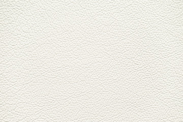 white leather texture. White background