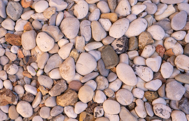 White and gray stones of various shapes. Texture of stones. Background photo. Pattern.