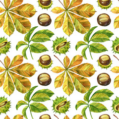 The leaf and the nut of the chestnut tree, in watercolour illustration. Pattern and texture of autumn theme. Raster illustration, handmade.