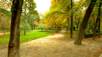 Naklejka premium Otoño en el parque
