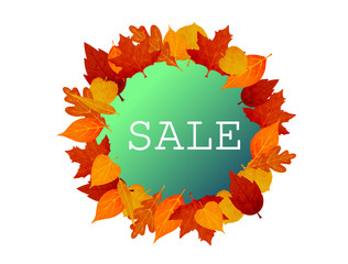 Colorful banner for autumn sale. Vector illustration with autumn leaves of rowan, maple, linden and oak on white background. Seasonal discount offer.