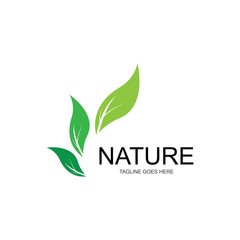 Eco Tree Leaf Logo Template