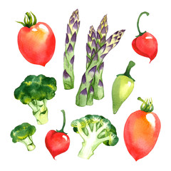 Watercolor vegetables set with broccoli, asparagus, red tomatoes and pepper