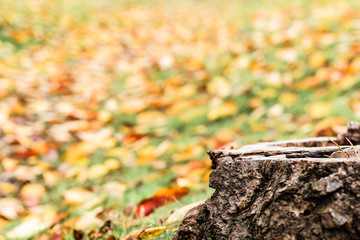 ちょっとひと休み