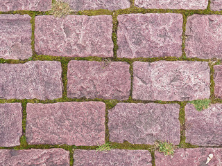 A stone paved bridge. Between relief bricks grass, earth and moss are visible.