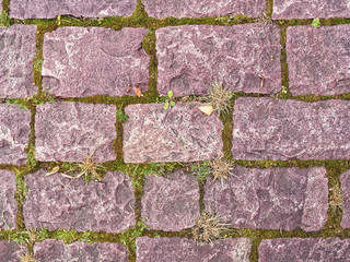 A stone paved bridge. Between relief bricks grass, earth and moss are visible.