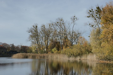 Fototapeta premium Jezioro Długie w Olsztynie