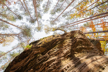 Jesień korony drzew na skale © Marcin Kumorek