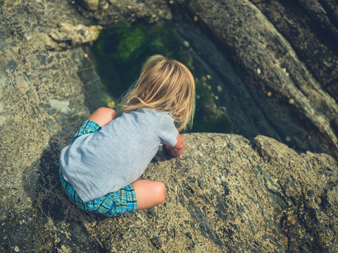 Little toddler playing by rock pool in nature
