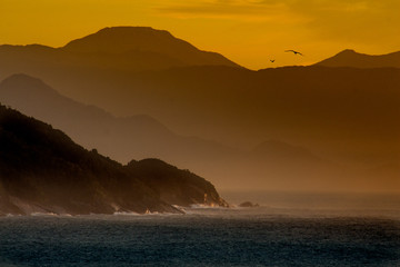 Naklejka premium Freedom