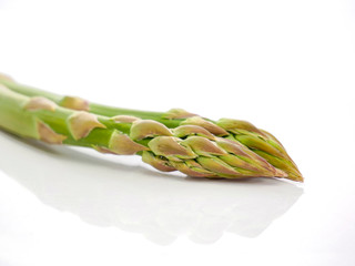 Fresh asparagus on white background