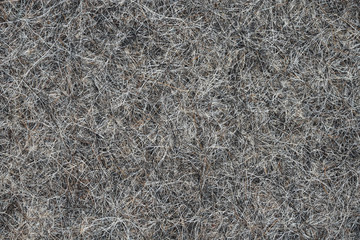Extruded hair felt closeup background texture. sheep wool for felt boots