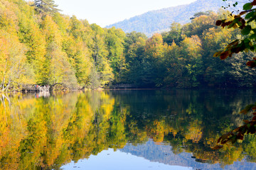 beautiful reflection on Yedigoller lake in Turkey