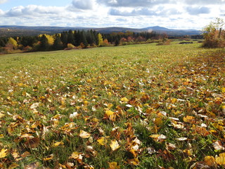 A field after the autumn harvest