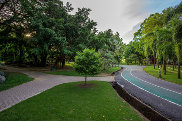 Front or Back Yard, Formal Garden, Lawn, Springtime, Summer