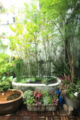 Small garden in a limited area. A small garden in the city on the roof of a commercial building.