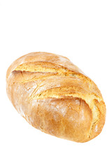 Loaf of wheat bread on white background.