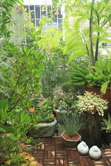 A small garden in the city on the roof of a commercial building. Small garden in a limited area.