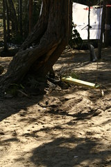 abandoned industrial factory