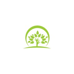 family tree and leaf logo template