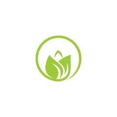 creative greeen leaf logo template
