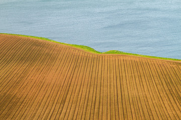 Ocean coast landscape