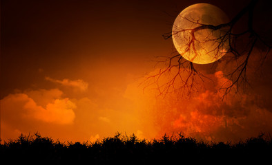 Full moon with Halloween background © kittiyaporn1027