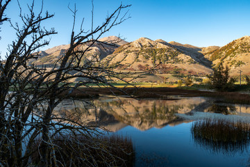 Mount Miletto reflected in Lake Matese with trees in the foreground. Matese national park, Italy