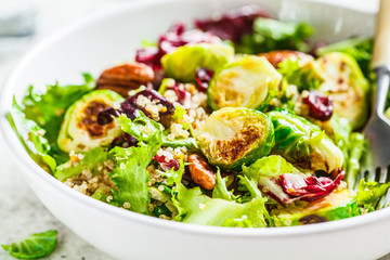 Fried brussels sprouts salad with quinoa, cranberries and nuts in white bowl. Healthy vegan food concept.