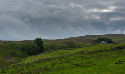 Fototapeta premium Wensleydale