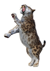 Naklejka premium 3D Rendering Sabertooth Tiger on White