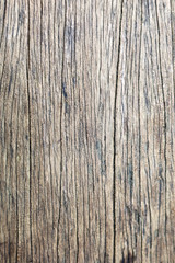 Close up wood texture background and show detain texture line.