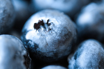 Background with fresh blueberries closeup. Blueberry macro photography. Organic berries of bright blue color. Template for banner, menu, food label, organic shop. Healthy eating. Blurred background