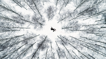 Fototapety na wymiar - Fototapeta24.pl