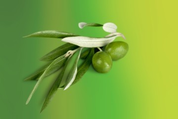 Olive.