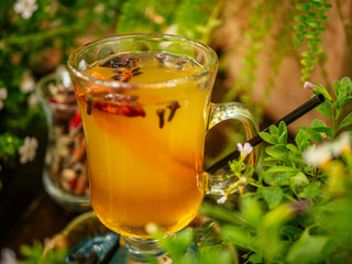 Hot mulled wine in a glass goblet with cinnamon sticks. Vegetation around