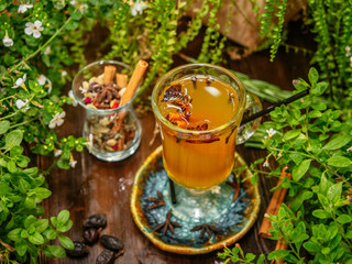 Hot mulled wine in a glass goblet with cinnamon sticks. Vegetation around