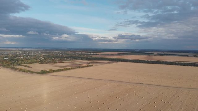 Flight over crop wheat or rye field with stook hay straw bales. Harvest agriculture farm rural aerial 4k video background. Bread production concept.