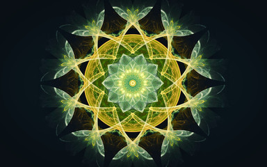 fantastic abstract symmetrical flower with petals consisting of a variety of geometric shapes of different colors on a black background