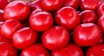 tomatoes are fresh red natural organic