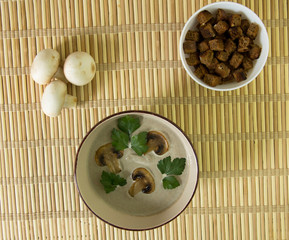 Cream soup of mushrooms with dry bread and parsley