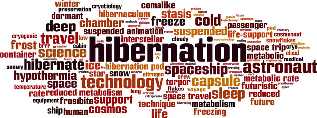 Hibernation word cloud