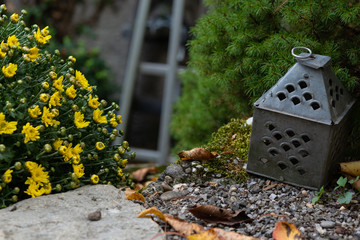Tin lantern on gravel with rustic yellow flower with blurred background.
