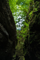 eisenach drachenschlucht